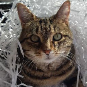 Meet your Posher, Émily-rose